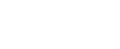 mountainflyer